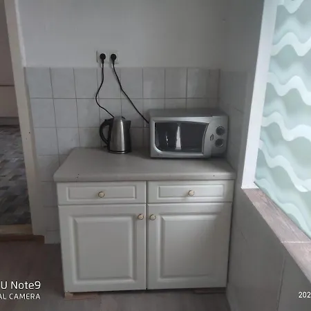 Apartment Mit Garten Zentrumnah Schwerin (Mecklenburg-Vorpommern)