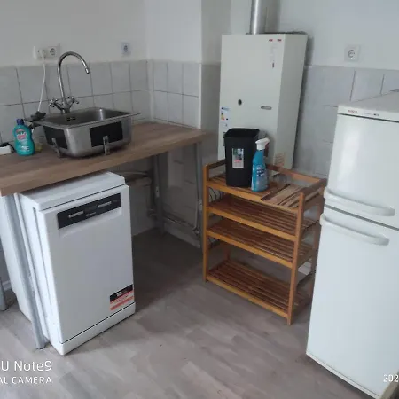 Apartment Mit Garten Zentrumnah Schwerin (Mecklenburg-Vorpommern)